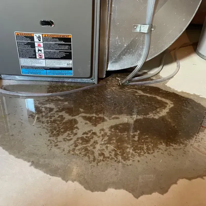 Appliance Leak Cleanup in Rio Vista, CA